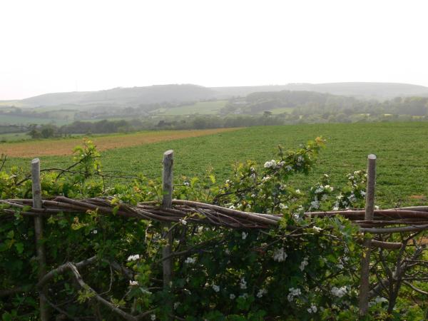 The 2007 hedge two months after laying