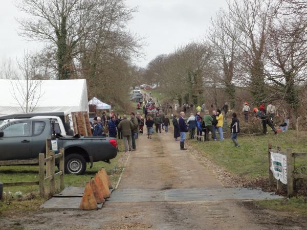 The 2010 Isle of Wight Hedgelaying Competition