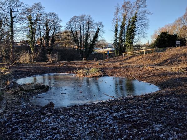 A new pond was created