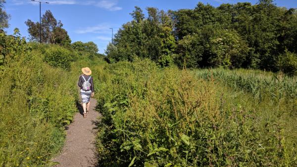 In less than a year the site looked delighful and was full of wildlife